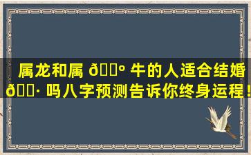 属龙和属 🌺 牛的人适合结婚 🌷 吗八字预测告诉你终身运程！